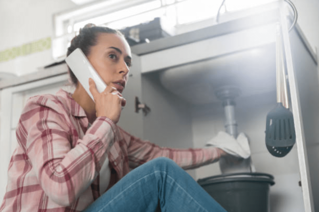 Fixing leaking faucets in Snohomish County, WA.